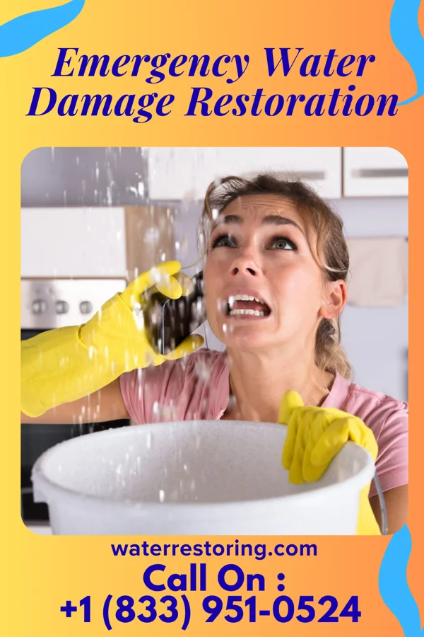 Emergency Water Damage Restoration in Dobbs Ferry, NY