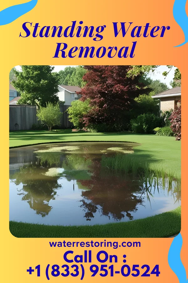 Standing Water Removal in Dobbs Ferry, NY
